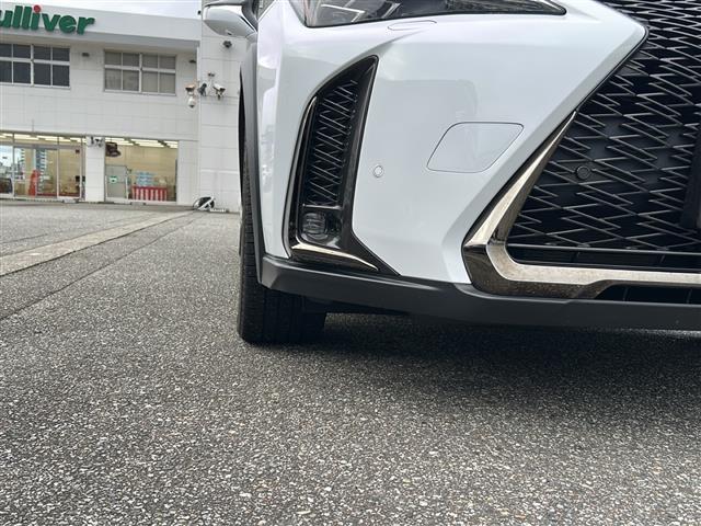 ＵＸ ＵＸ２５０ｈ　Ｆスポーツ（36枚目）