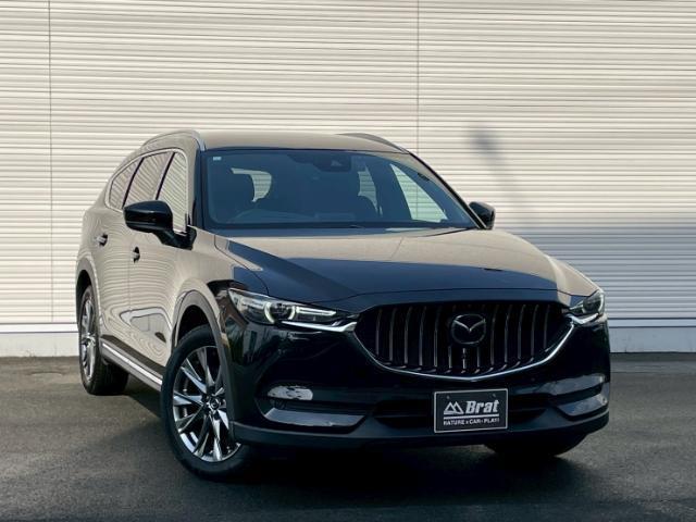 CX-8 XD Lパッケージ 純正SDナビ Bluetooth/CD/DVD/フルセグTV 後席モニター 全方位カメラ BOSEサウンドシステム 前席&二列目シートヒーター レーダークルコン ETC BSM ステアリングヒーター(34枚目)