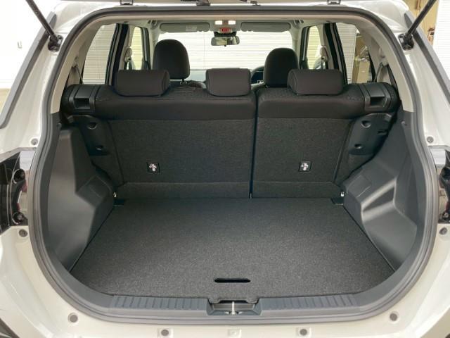 ライズ Z 純正ディスプレイオーディオ レーダークルーズコントロール 衝突軽減ブレーキ レーンキープアシスト フルセグTV 寒冷地仕様 バックカメラ ステアリングリモコン AVH 電動パーキング(18枚目)