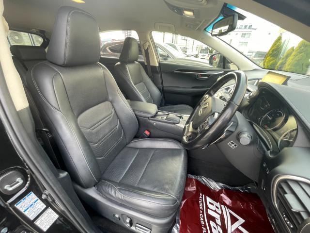 ＮＸ ＮＸ３００ｈ　バージョンＬ　純正ＳＤナビ　フルセグＴＶ／ＣＤ／ＤＶＤ／Ｂｌｕｅｔｏｏｔｈ　バックカメラ　レーダークルーズコントロール　ステアリングヒーター　シートヒーター　ベンチレーション　パワーバックドア　パワーシート　ＥＴＣ（19枚目）