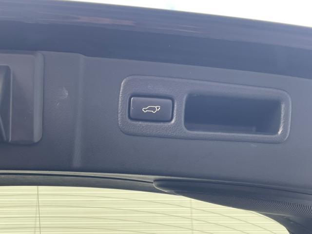 ＮＸ ＮＸ３００ｈ　バージョンＬ　純正ＳＤナビ　フルセグＴＶ／ＣＤ／ＤＶＤ／Ｂｌｕｅｔｏｏｔｈ　バックカメラ　レーダークルーズコントロール　ステアリングヒーター　シートヒーター　ベンチレーション　パワーバックドア　パワーシート　ＥＴＣ（30枚目）