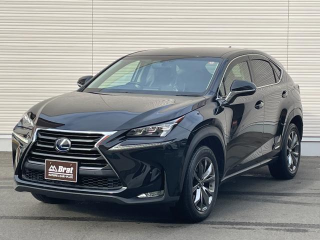 ＮＸ ＮＸ３００ｈ　バージョンＬ　純正ＳＤナビ　フルセグＴＶ／ＣＤ／ＤＶＤ／Ｂｌｕｅｔｏｏｔｈ　バックカメラ　レーダークルーズコントロール　ステアリングヒーター　シートヒーター　ベンチレーション　パワーバックドア　パワーシート　ＥＴＣ（32枚目）