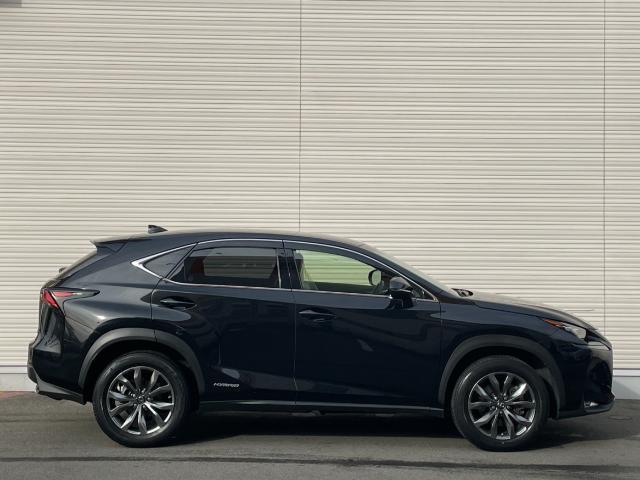 ＮＸ ＮＸ３００ｈ　バージョンＬ　純正ＳＤナビ　フルセグＴＶ／ＣＤ／ＤＶＤ／Ｂｌｕｅｔｏｏｔｈ　バックカメラ　レーダークルーズコントロール　ステアリングヒーター　シートヒーター　ベンチレーション　パワーバックドア　パワーシート　ＥＴＣ（37枚目）