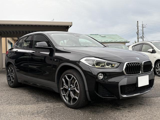 Ｘ２ ｘＤｒｉｖｅ　２０ｉ　ＭスポーツＸ　純正ナビ　フルセグＴＶ　バックカメラ　ＥＴＣ　インテリジェントセーフティ　シートヒーター　パワーバックドア　ヒルディセントコントロール　スマートキー　プッシュスタート　クルーズコントロール（31枚目）