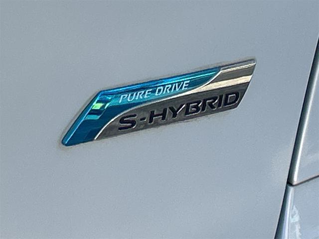 セレナ ハイウェイスターG S-ハイブリッド ドライブレコーダー バックカメラ ナビ オートクルーズコントロール 両側電動スライドドア オートライト スマートキー アイドリングストップ 電動格納ミラー 3列シート ウォークスルー CVT(36枚目)