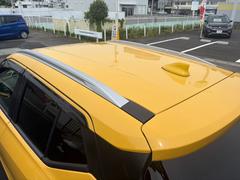 ドルフィンアンテナ装着 6