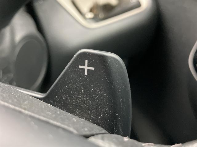 デリカミニ T プレミアム 4WD ドライブレコーダー ETC 全周囲カメラ 両側電動スライドドア ナビ TV クリアランスソナー オートクルーズコントロール 衝突被害軽減システム オートライト LEDヘッドランプ スマートキー(34枚目)