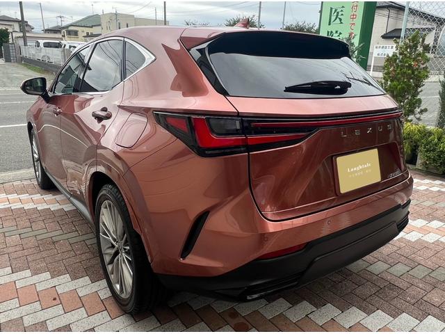 ＮＸ ＮＸ２５０　バージョンＬ　１４インチ純正ナビ・フルセグＴＶ・パノラミックビューモニター・全席シートヒーター・ステアリングヒーター・パワーバックドア・ワンオーナー（3枚目）