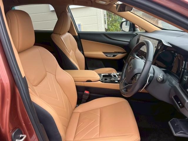 ＮＸ ＮＸ２５０　バージョンＬ　１４インチ純正ナビ・フルセグＴＶ・パノラミックビューモニター・全席シートヒーター・ステアリングヒーター・パワーバックドア・ワンオーナー（6枚目）