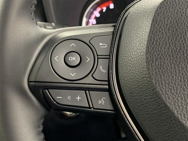 ＲＡＶ４ アドベンチャー　オフロードパッケージ（22枚目）