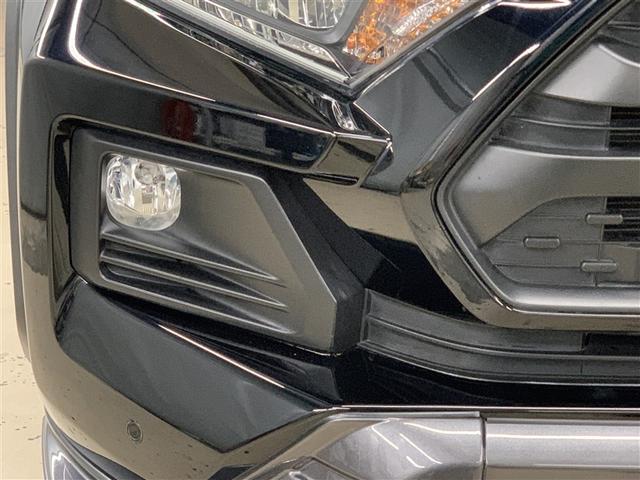 ＲＡＶ４ アドベンチャー　オフロードパッケージ（35枚目）