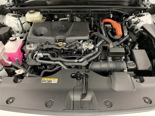 �u�܂�܂�N�����v�Ńs�J�s�J�ɐ�򂵂܂����B