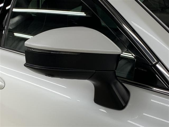 �X�^�C���b�V���ȃE�B���J�[�t���h�A�~���[�ł��B���͂���̎��F�����悭���S�����A�b�v���܂��B