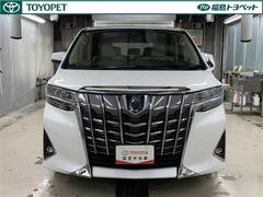 ��Ŭ�ʾ�꿴�ϡ�����ե����ɥϥ��֥�åɡ��ǡ��ƥѥå����� 2