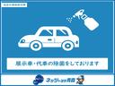 Ｇ　４ＷＤ　ミュージックプレイヤー接続可　バックカメラ　衝突被害軽減システム　ＬＥＤヘッドランプ　キーレス　ＡＢＳ　エアバッグ　スマートキー　オートクルーズコントロール（51枚目）