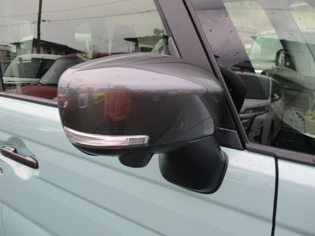 �^�[�������v�t���h�A�~���[�ł�