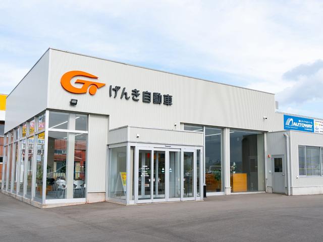 デイズ ハイウェイスター　Ｘ　４ＷＤ　軽自動車　衝突被害軽減ブレーキ　純正メモリナビ　ＤＶＤ／ＣＤ　フルセグＴＶ　Ｂｌｕｅｔｏｏｔｈ　アラウンドビューモニター　純正ドライブレコーダー　スマートキー　ＨＩＤ　フォグ　ＥＴＣ　ミラーヒーター（52枚目）