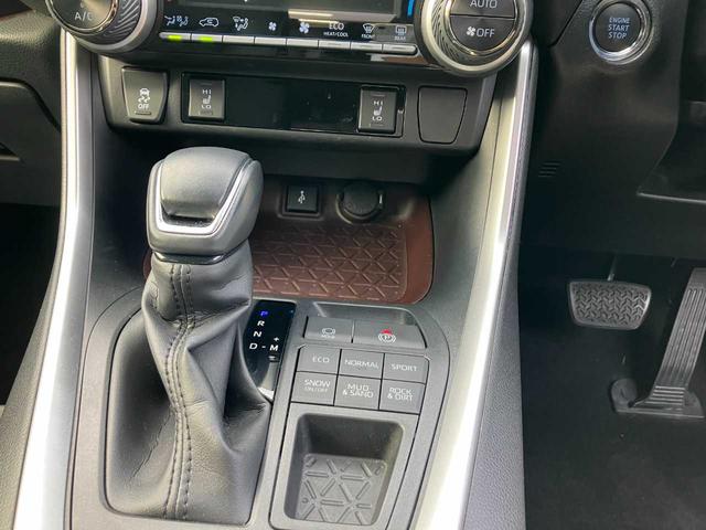 ＲＡＶ４ Ｇ　ワンオーナー　寒冷地仕様　全方位モニター　シートヒーター　ステアリングヒーター　パワーシート　ＥＴＣ　ステアリングリモコン　クルコン　軽減ブレーキ　ＢＳＭ　ドラレコ前後　パワーバックドア（30枚目）
