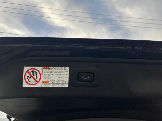 アルファードハイブリッド SR Cパッケージ 寒冷地仕様/4WD/TRDエアロ/衝突軽減/エンジンスターター/アルパインナビ/フルセグTV/Bluetooth/DVD再生/フリップダウンモニタ/バックカメラ/ステアリングヒータ/シートヒータ&クー(55枚目)
