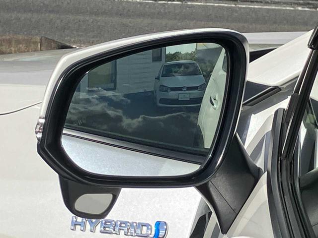 ＲＡＶ４ ハイブリッドＧ　ハイブリッド４ＷＤ／モデリスタ／レザー／１オーナ／ＢＳＭ／寒冷地／フロントガラス熱線／リアフォグ／衝突軽減／横滑防止／前席シートヒータ／自動バックドア／ナビ／フルセグ／ブルートゥース／ＤＶＤ／Ｂカメラ（10枚目）