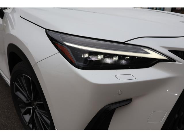 ＮＸ ＮＸ３５０ｈ　バージョンＬ　４ＷＤ　全周囲カメラ　オートクルーズコントロール　レーンアシスト　パワーシート　衝突被害軽減システム　ナビ　ＴＶ　オートマチックハイビーム　オートライト　ＬＥＤヘッドランプ　電動リアゲート（18枚目）