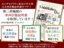 ＥＸ・ブラックスタイル　リモコンエンジンスターター付　光触媒抗菌消臭施工済（30枚目）