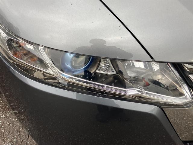 オデッセイ Ｍ（4枚目）