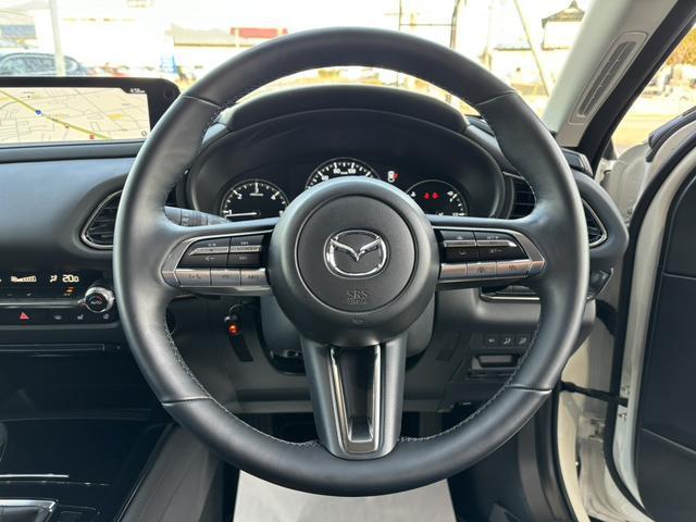 ＣＸ－３０ ＸＤ　ブラックトーンエディション　４ＷＤ／純正ナビ／全周囲モニター／シートヒーター／フルセグＴＶ／（11枚目）