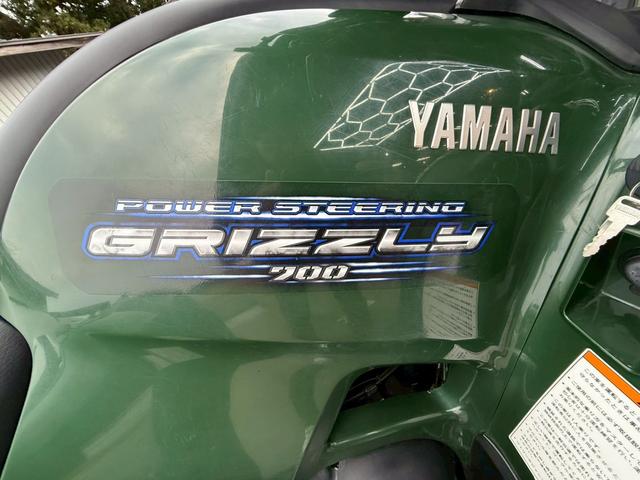 日本 　バギー　ＰＯＷＥＲ　ＳＴＥＥＲＩＮＧ　ＧＲＩＺＺＬＹ　７００（33枚目）