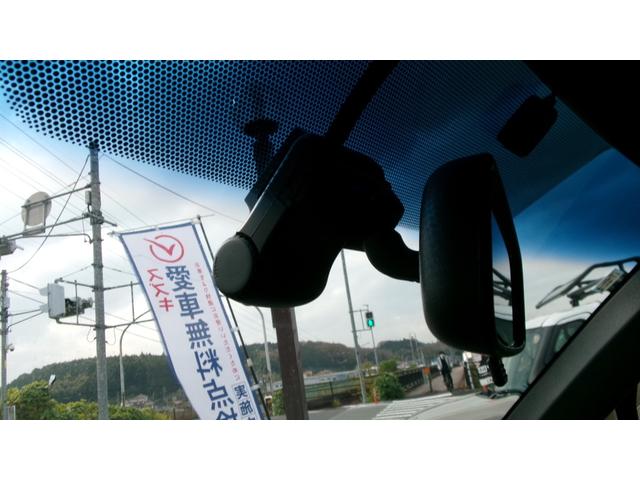 スペイド Ｆ　クイーン（31枚目）