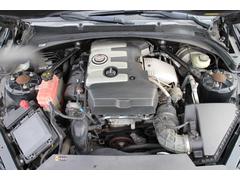 ����ǥ�å����ԣ� �ѥե����ޥ󥹡����ԣӡ��ѥե����ޥ󥹡��Хå�����顡���ꥢ��󥹥��ʡ� 1000123A30251224W001 7