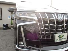 ե ӡåѥåʣ£̥ɡǥꥹ̥˥ 1000138A30251202W003 5