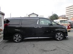 ե ӡåѥåʣ£̥ɡǥꥹ̥˥ 1000138A30251202W003 7