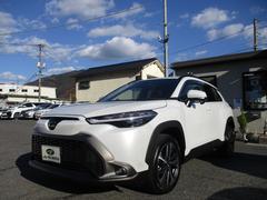 ���������ư�к��ݸ�����Ź�Ǥ�������ݸ���ҤǤ��ΤǼ�ư���ݸ��ϰ¿����Ƥ����ڤˤ����̲������� 4