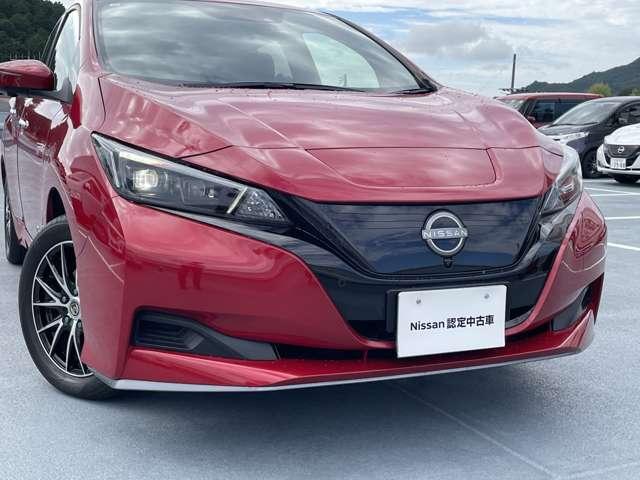 リーフ ｅ＋　Ｘ　日産コネクトナビ　エマージェンシーブレー（18枚目）