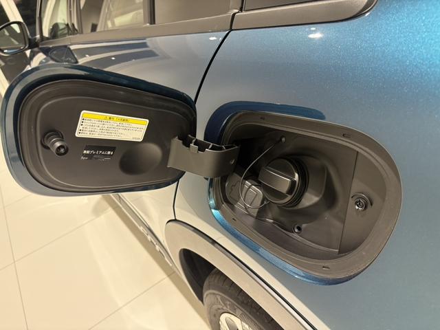 600ハイブリッド ラ プリマ(26枚目)