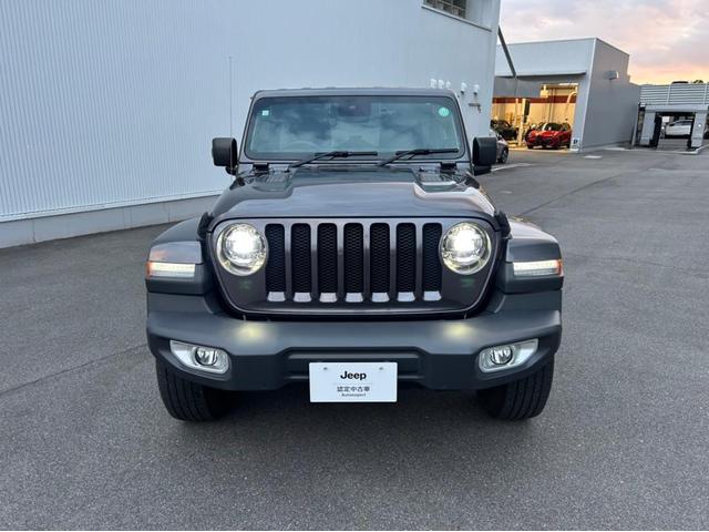 �{�f�B�J���[�̓O���i�C�g�N���X�^���͐l�C�J���[�ł��I