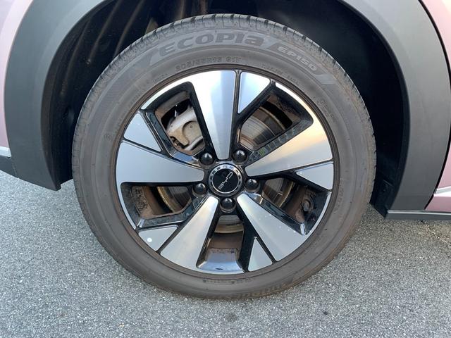 ドルフィン ロングレンジ(19枚目)