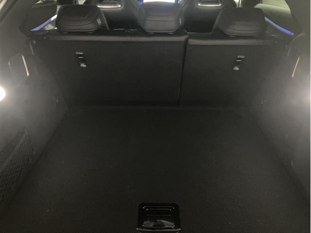 シーライオン ７ ベースグレード（19枚目）