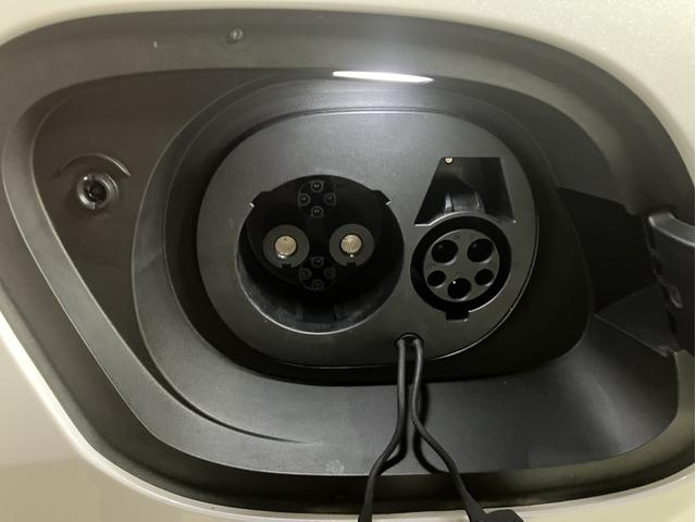 シーライオン ７ ベースグレード（26枚目）