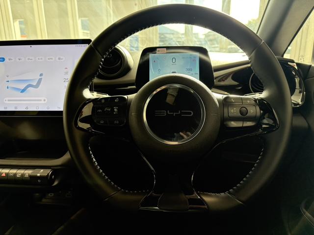 �r�[�K�����U�[�X�e�A�����O