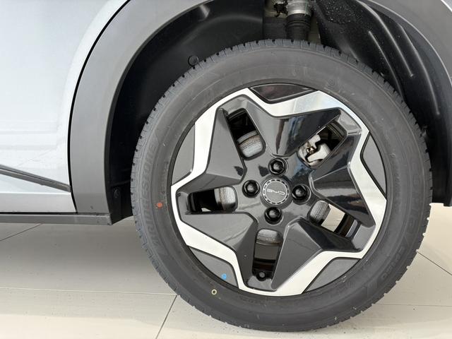 �P�U�C���`�A���~�z�C�[��