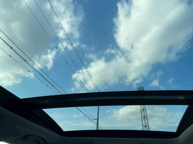 エクストレイル ２０Ｘ　４ＷＤ　レイズＡＷ　サンルール　サンルーフ　パノラマガラスルーフ　外品アルミ　ドラレコ　ＬＥＤヘッドライト　８インチナビ　シートヒーター　ＴＶナビ　バックモニター　ルーフレール（23枚目）