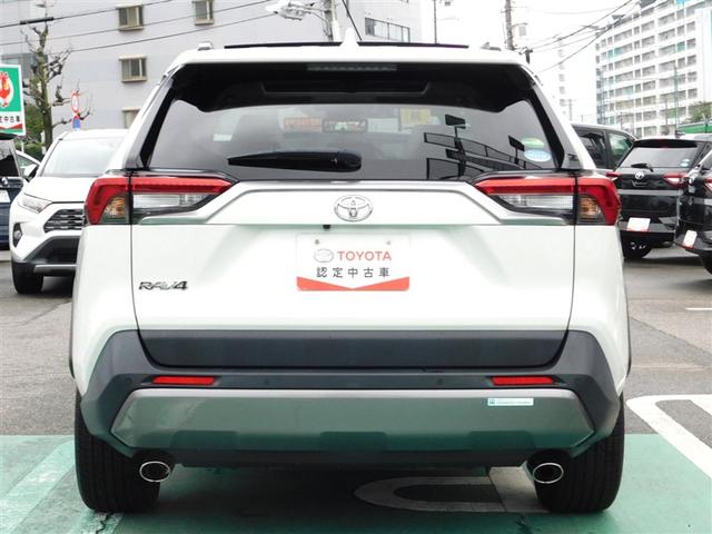 ＲＡＶ４ Ｇ　Ｚパッケージ　サンルーフ　４ＷＤ　フルセグ　メモリーナビ　ミュージックプレイヤー接続可　バックカメラ　衝突被害軽減システム　ＥＴＣ　ＬＥＤヘッドランプ　記録簿（6枚目）