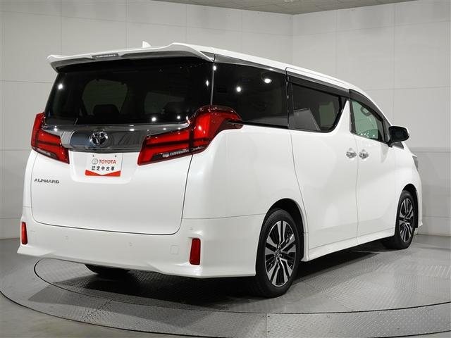 �㕔�ɂ̓v���C�o�V�[�K���X�𑕔����Ă���܂��B