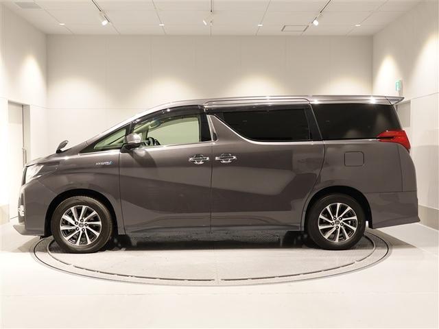 �{�f�B�[�J���[�̓O���[���^���b�N�i�P�f�R�j�ł��B