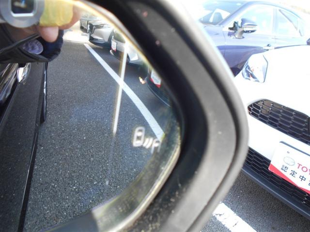 �u���C���h�X�|�b�g���j�^�[�i�a�r�l�j�����S�@�\�ł��B