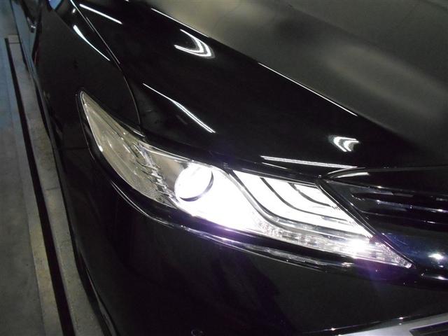 �k�d�c�w�b�h���C�g����