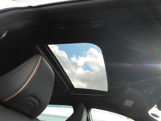 �T�����[�t�t���ŋC�����Ⴂ�܂��B