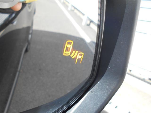 �u���C���h�X�|�b�g���j�^�[�i�a�r�l�j�����S�@�\�ł��B